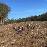 Akcja ,,Sadzenie lasu’’