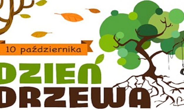Światowy Dzień Drzewa