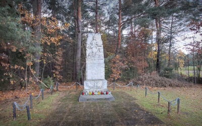 Porządkowanie cmentarza