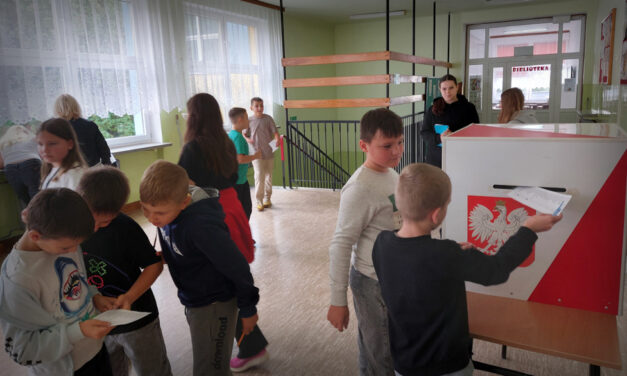 Wybory samorządowe
